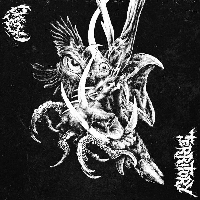 Cover art for AGLO / TERRITORY - Split LP