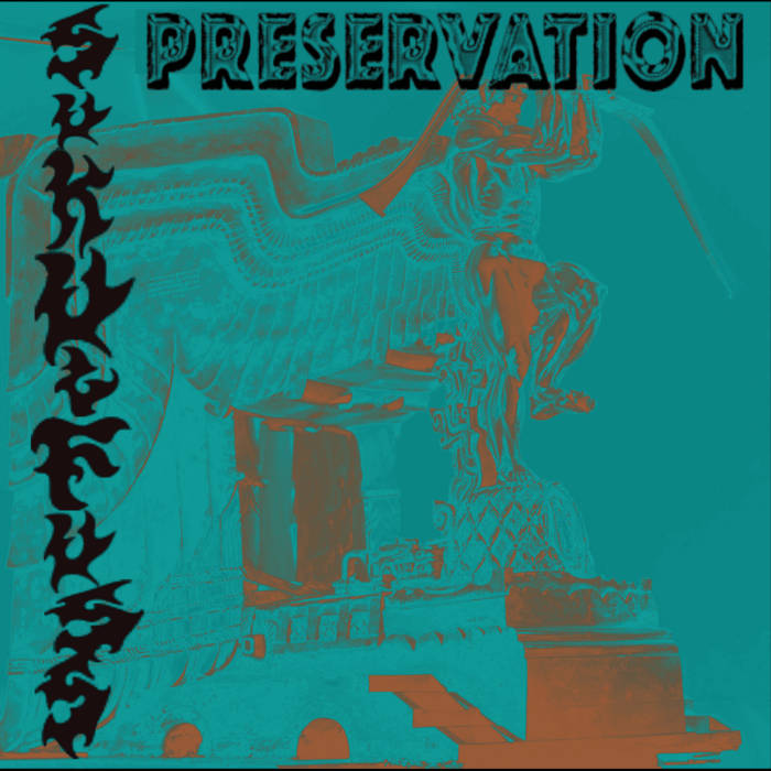 Cover art for Preservation