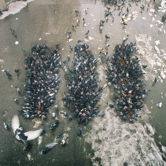 Cover art for Alone Together
