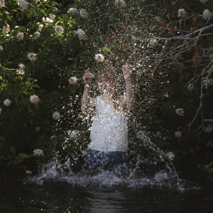 Cover art for Whale Songs