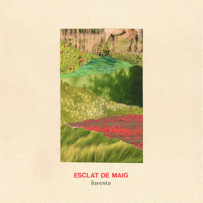 Cover art for Esclat de maig