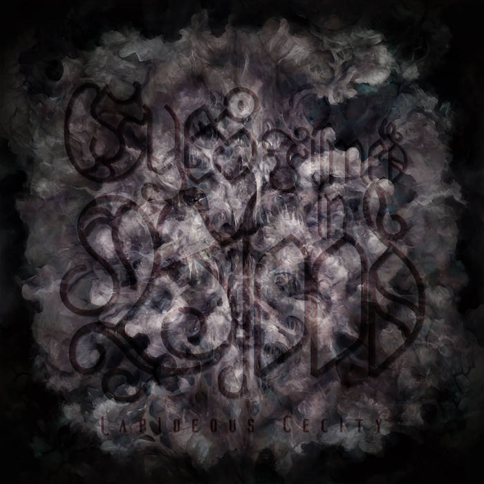 Cover art for Lapideous Cecity