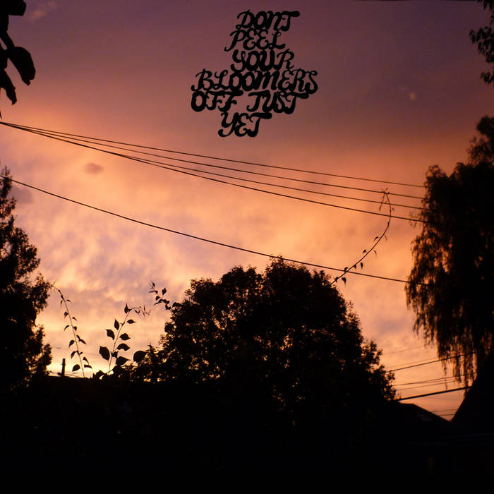 Cover art for Don't Peel Your Bloomers Off Just Yet