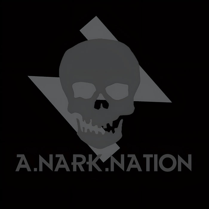 Cover art for The A.Nark.Nation Projekt (2009)
