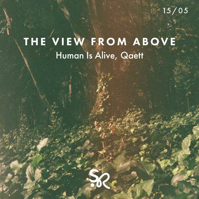 Cover art for The View from Above